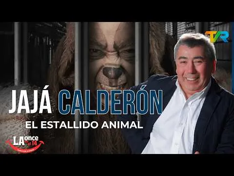 Reproducir el video «JAJA CALDERON NOS MUESTRA SU NUEVO LIBRO "EL ESTALLIDO ANIMAL"»